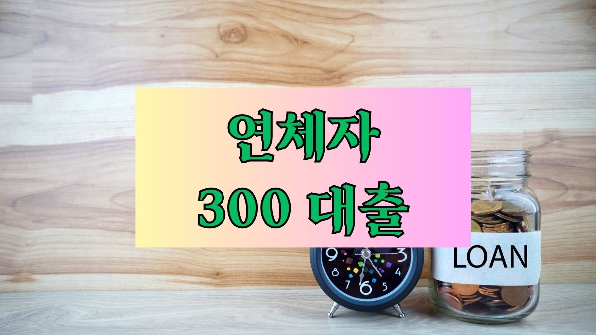 연체자 300 대출