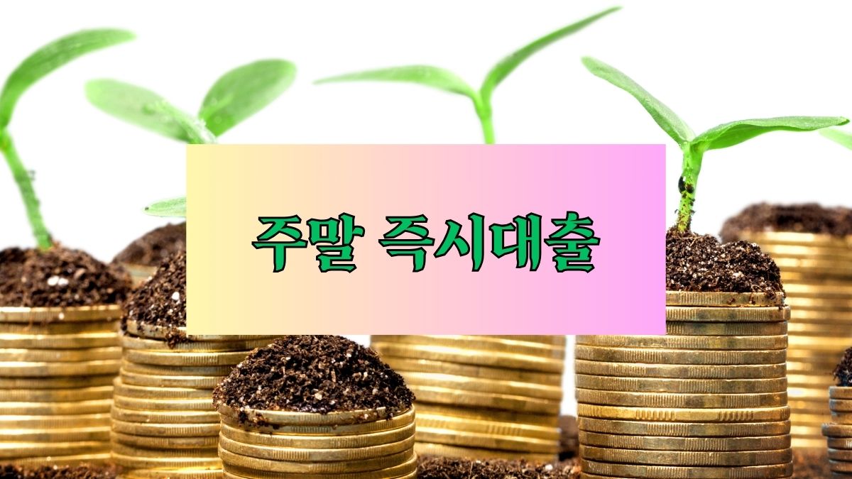 주말 즉시대출