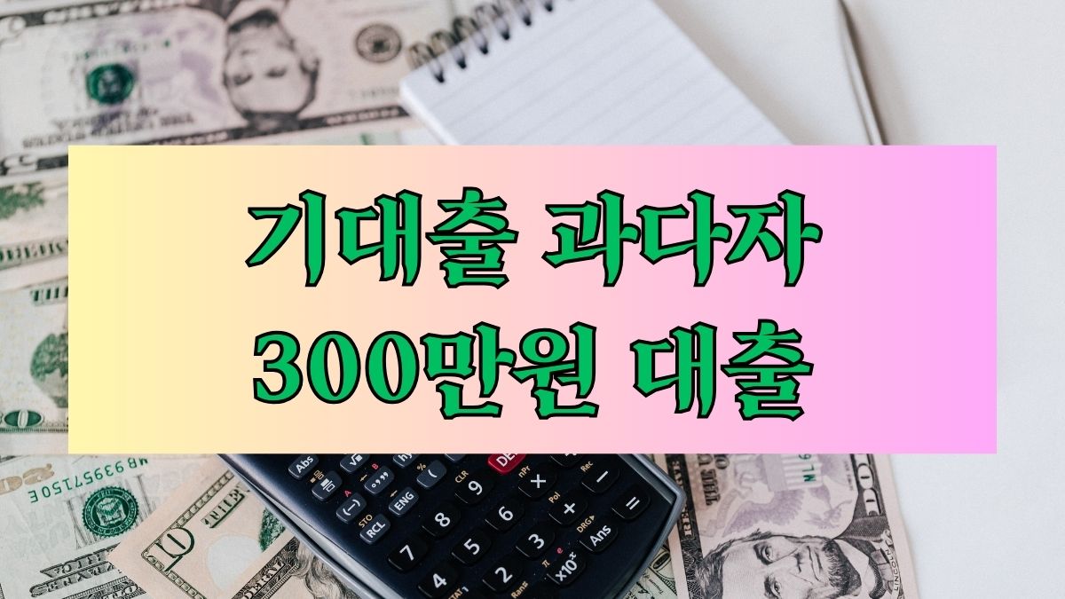 기대출 과다자 300만원 대출